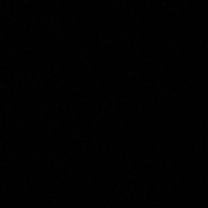 Meet your Posher, Lizzie